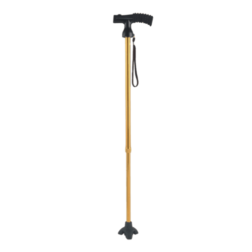 AM-FS9301L-1 Elegant Walking Sticks
