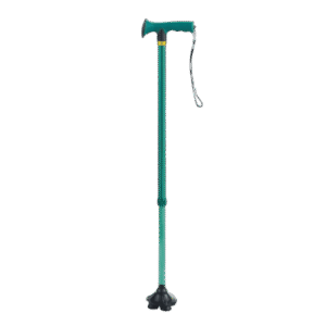 AM-FS9301L-5 Modern Walking Stick