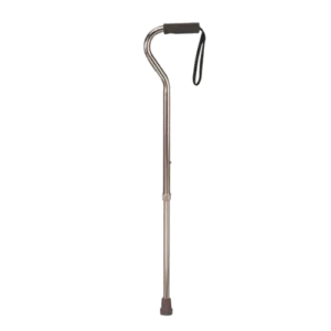 Fashionable Walking Stick