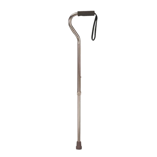 Fashionable Walking Stick