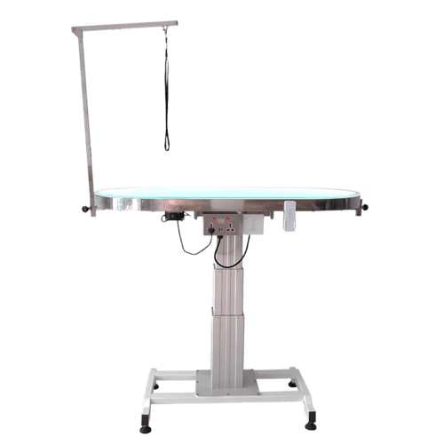 AM-LED Electric Height-Adjustable Grooming Table - Oval Top